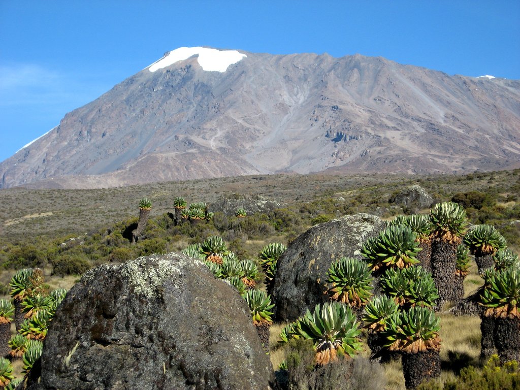 011   Kilimanjaro.jpg (33)