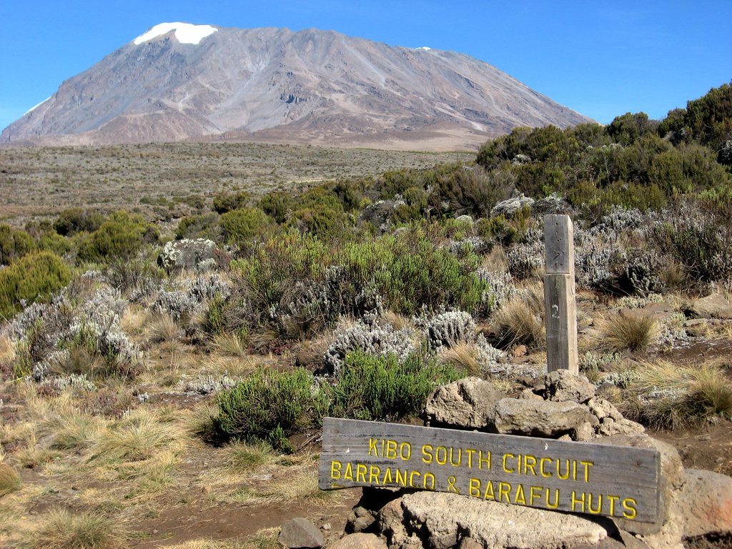 011   Kilimanjaro.jpg (38)