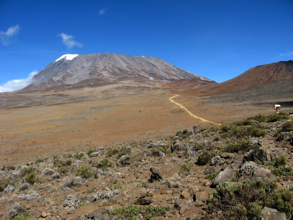 011   Kilimanjaro.jpg (46)