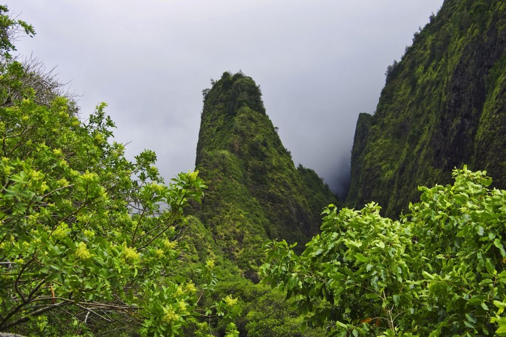 Maui, Iao Valley