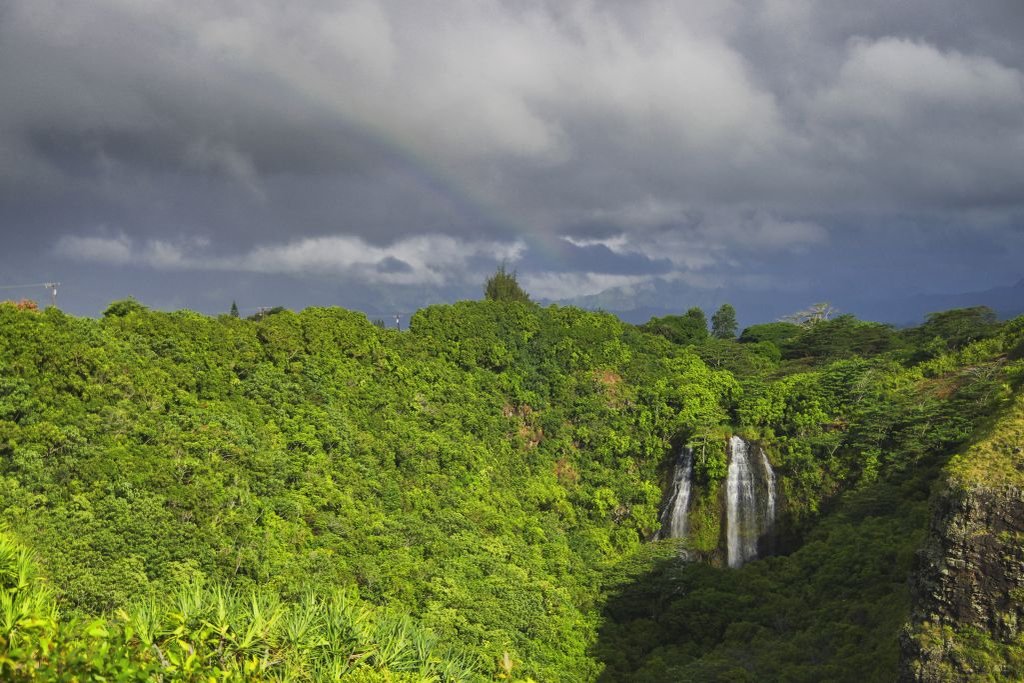 Opaeka'a Falls, Kauai