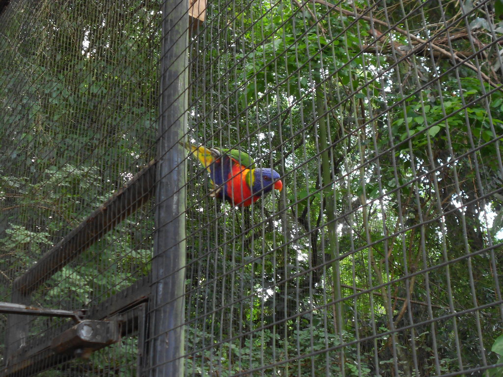 Parque dаs Aves