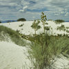 White Sands