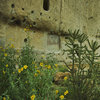 Bandelier