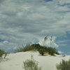 White Sands