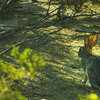 Big Bend