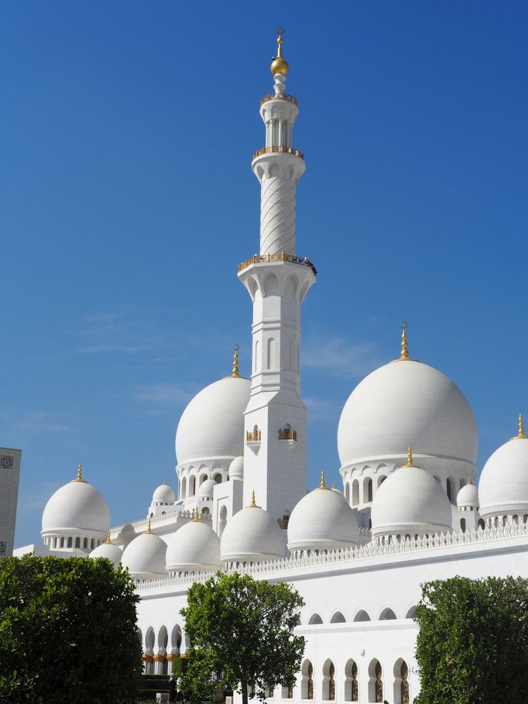 Sheikh Zayed Mosque 017