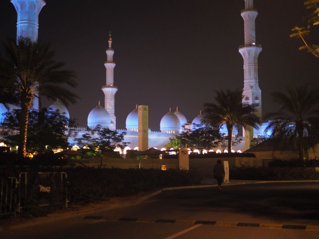 Sheikh Zayed Mosque 006