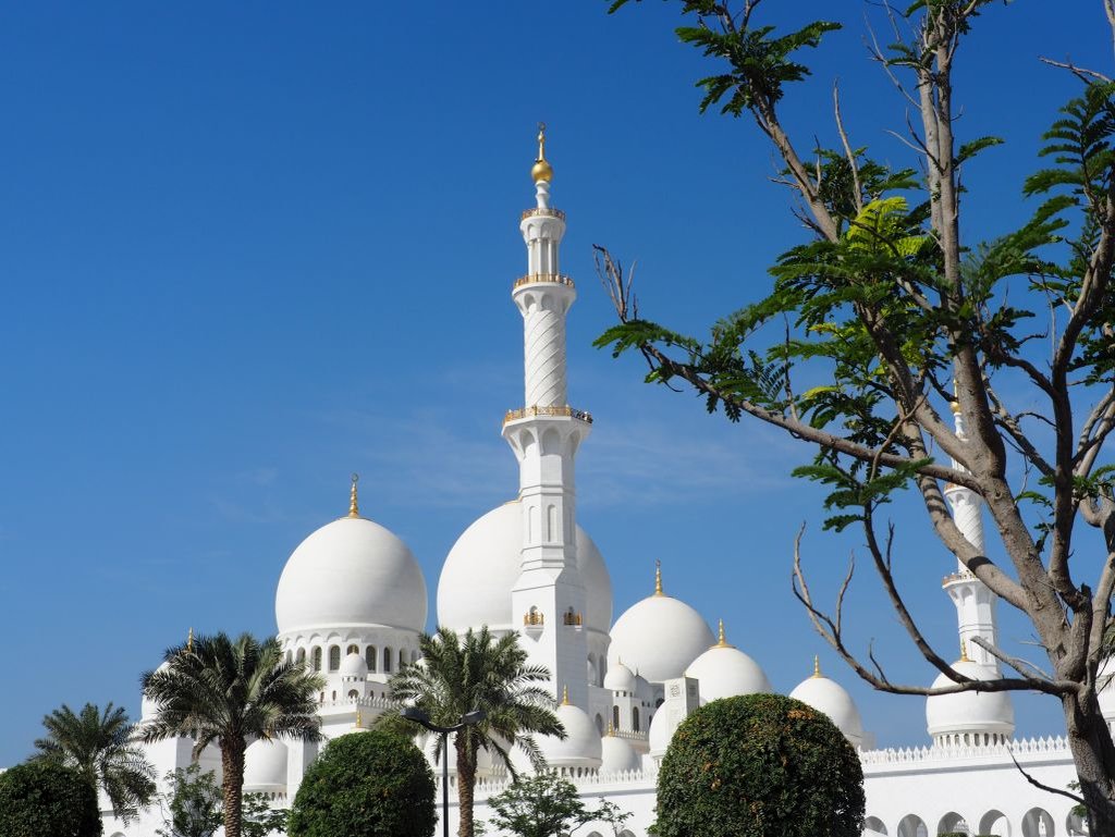 Sheikh Zayed Mosque 015