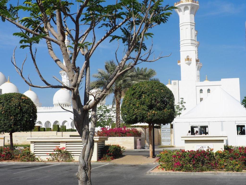 Sheikh Zayed Mosque 016