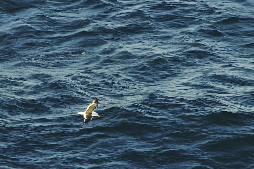 Puerto Madryn