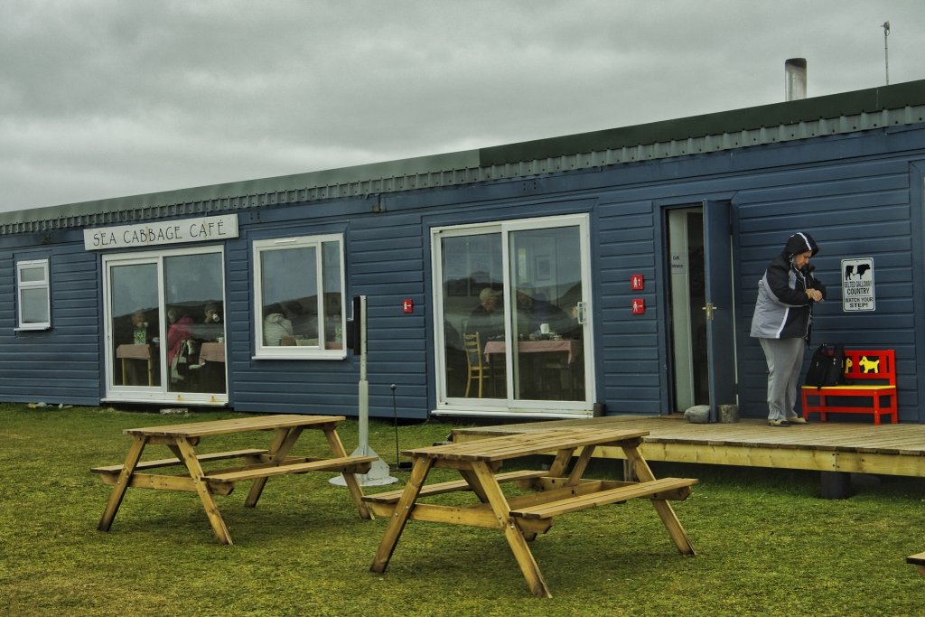 Falkland Islands, Sea Cabbage Cafe