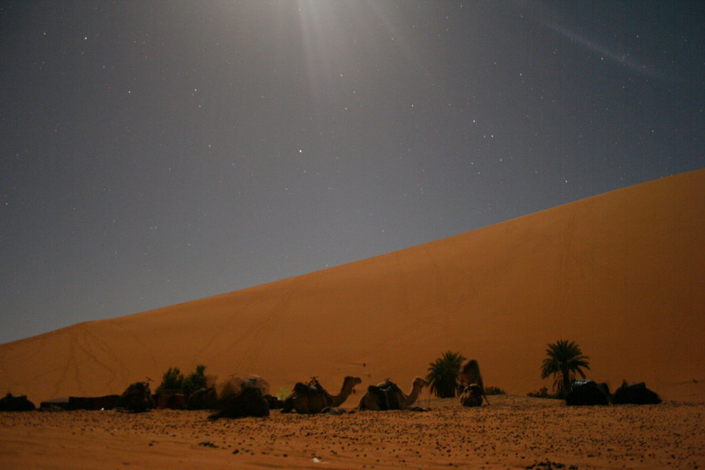 Нощна Сахара и милионите звезди