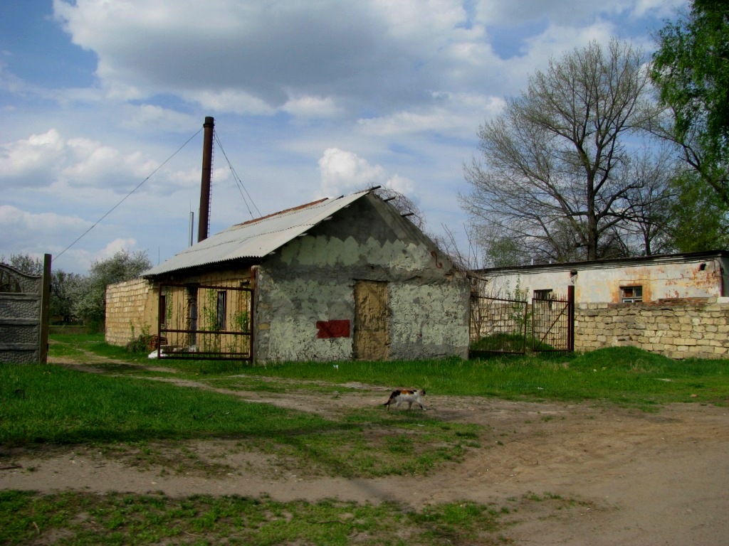 Tiraspol 45.jpg
