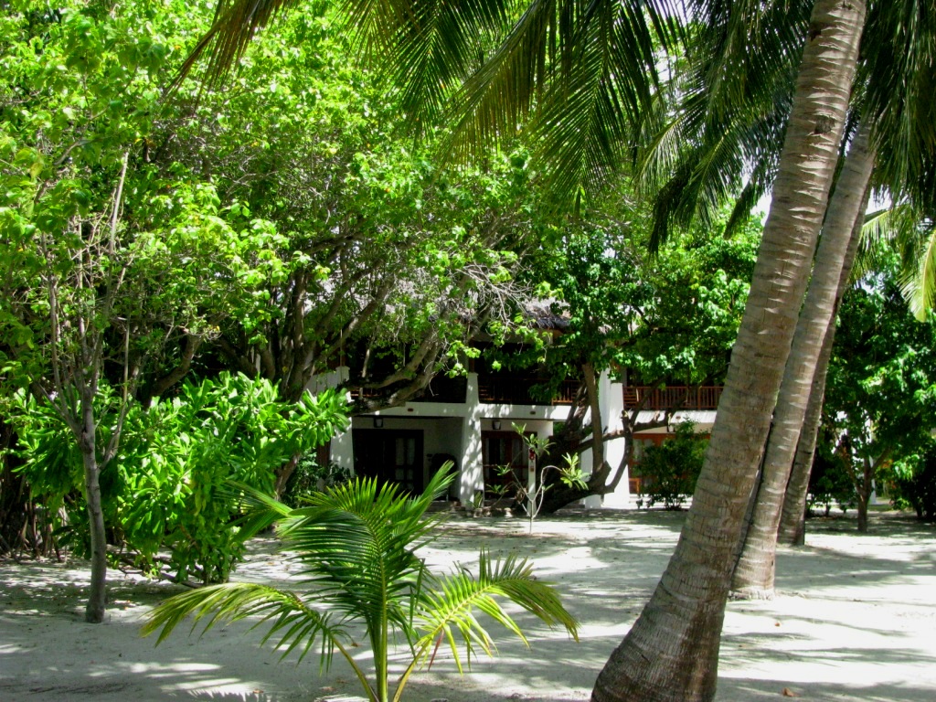 Furanafushi Island 19