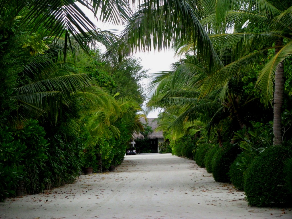 Furanafushi Island 41