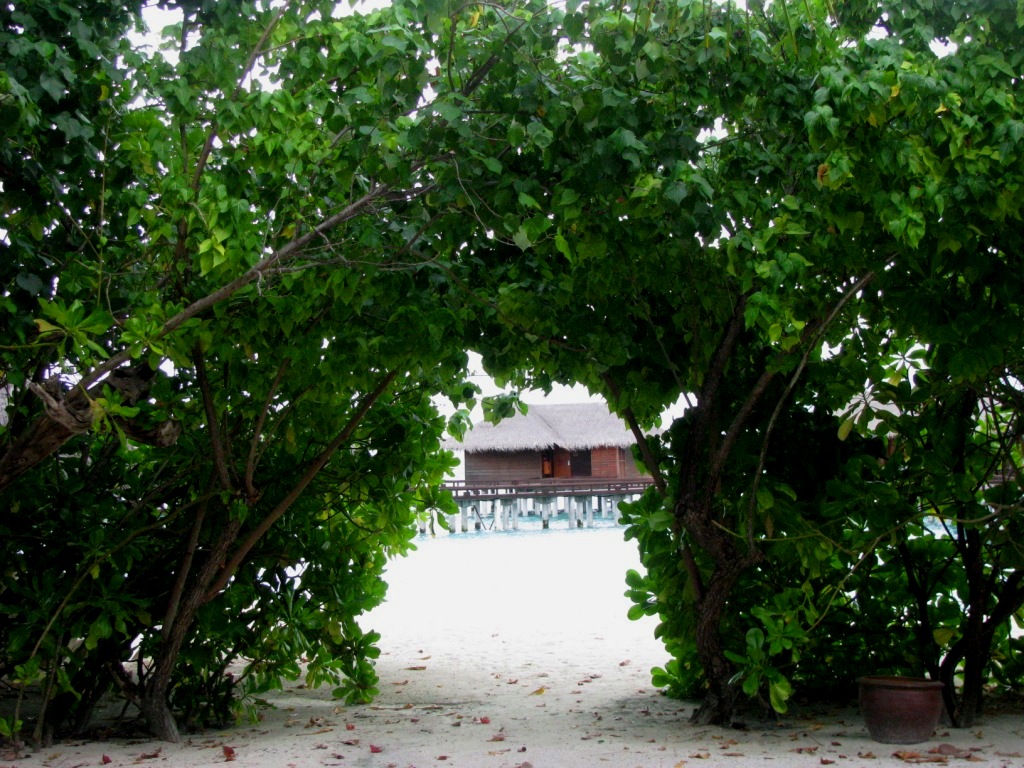 Furanafushi Island 42