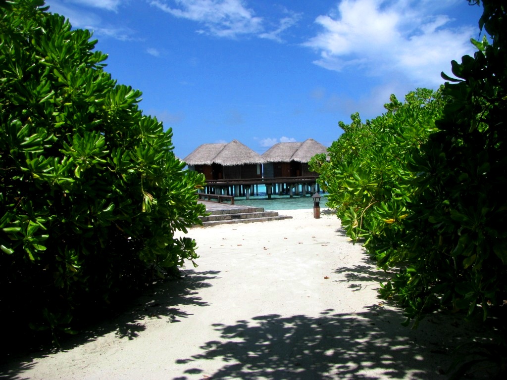 Furanafushi Island 11