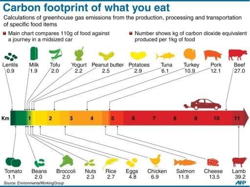 Footprint%20food.jpg