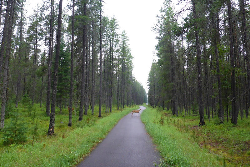 2014070592glacierNP.JPG