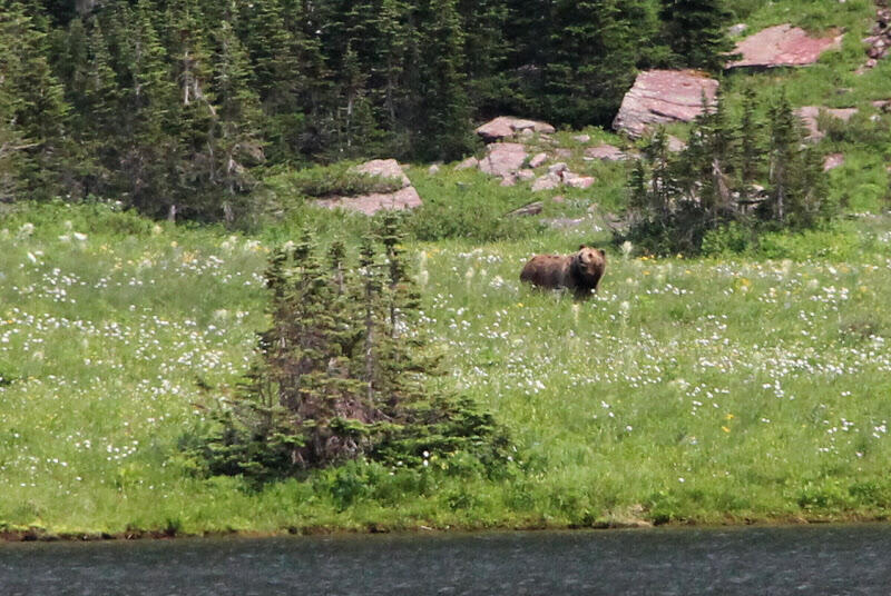 2014070651glacierNP.JPG