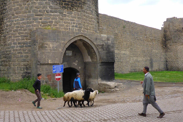 2015050257diyarbakir.JPG