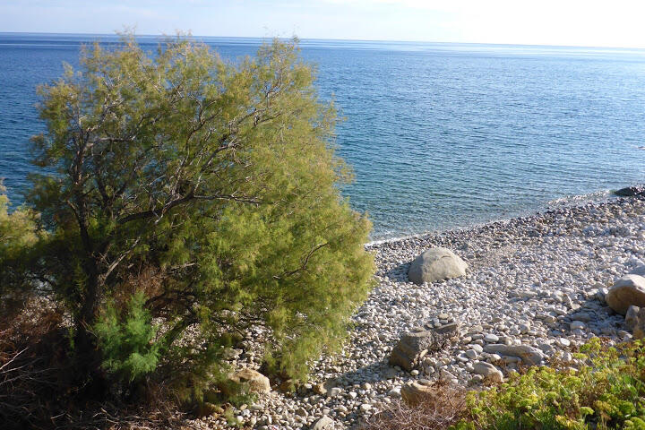 2015090921ikaria.JPG