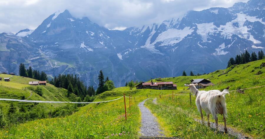Walking the Northface Trail in Mürren, Switzerland | Earth Trekkers