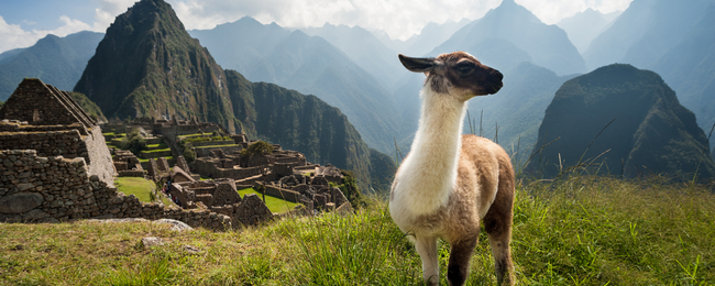4* KLM and Air France: Cheap flights from Germany to Peru from â¬409!
