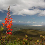 SA2011DunesAndFynbos.jpg