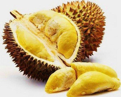 durian-fruit-500x500.jpg