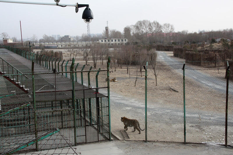 harbin20120091.JPG