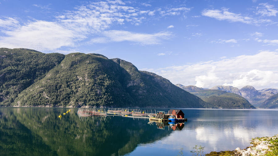 hardangerfjord.jpg