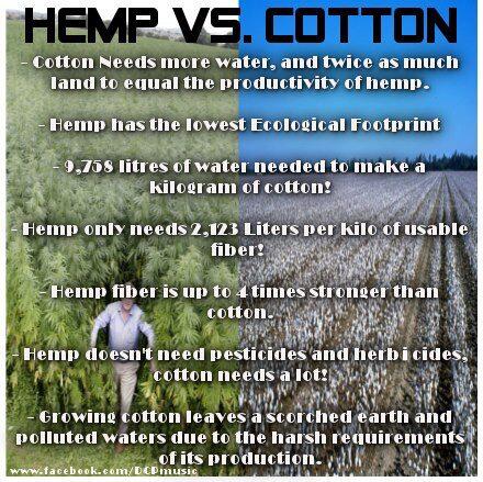 hemp.jpg