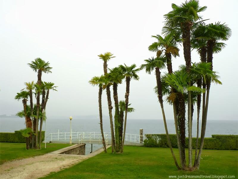 park-palms.jpg