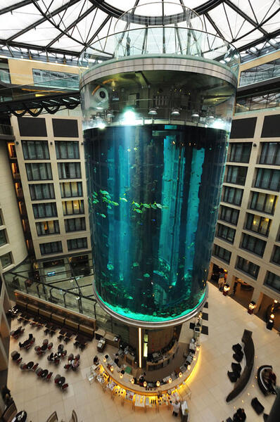 radisson-blu-hotel-aquarium-scuba-diving-berlin-5.jpg