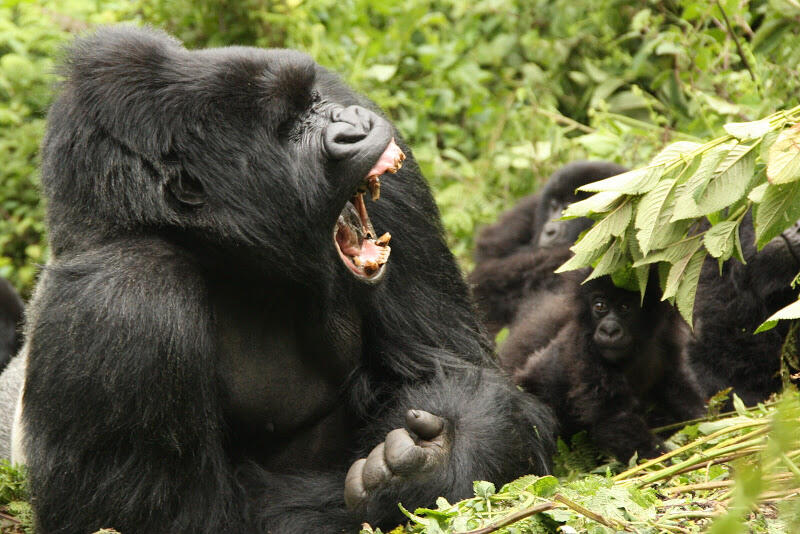 rwanda20110041.JPG