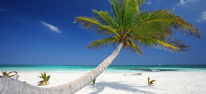 tropical-island-cancun-105012737-1422439