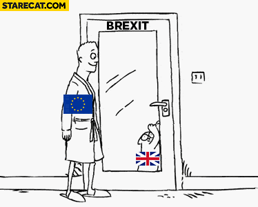 uk-brexit-cat-wanting-to-go-out-no-longe