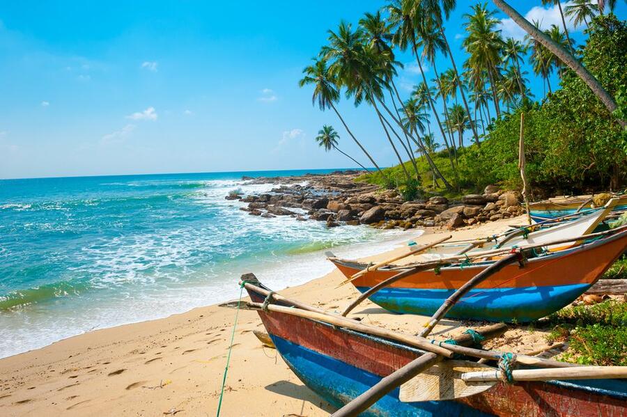 untouched-tropical-beach-with-palms-and-