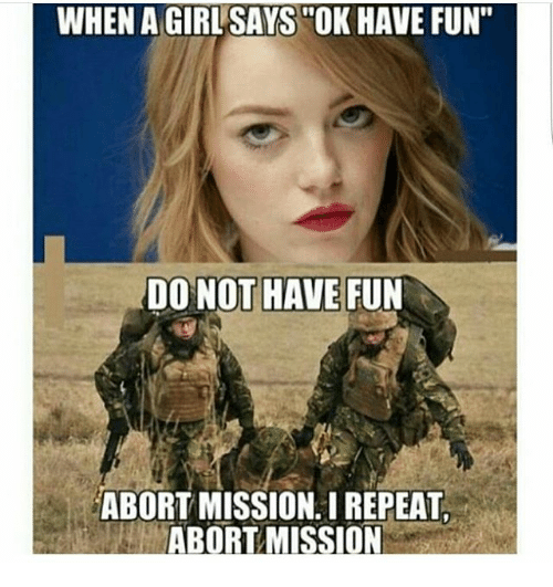 Memes, 🤖, and Fun: WHEN AGIRLSAYS OK HAVE FUN"
 DO NOT HAVE FUN
 ABORT MISSION. I REPEAT,
 ABORT MISSION