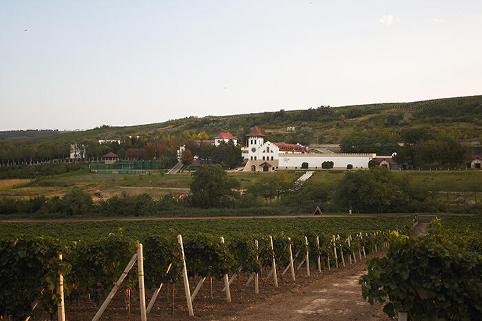 winery Purcari
