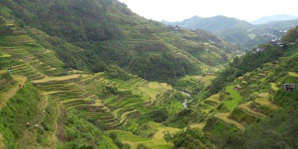19_08 август - Филипините ,  оризовите тераси в Лузон.JPG