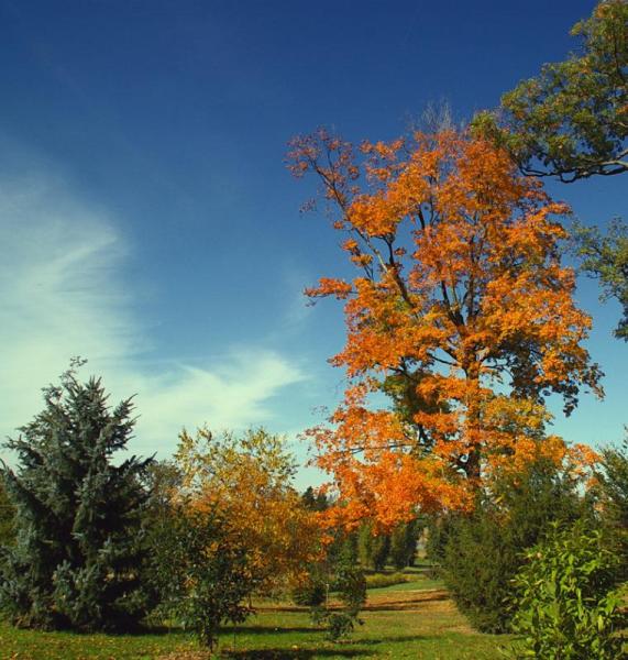 03_Dawes Arboretum_October_USA.jpg