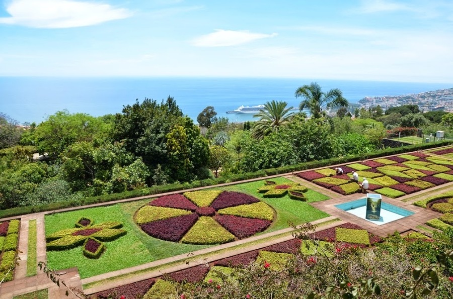 Madeira botanical garden_1.jpg