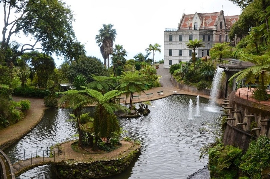 Madeira tropical garden_1.jpg