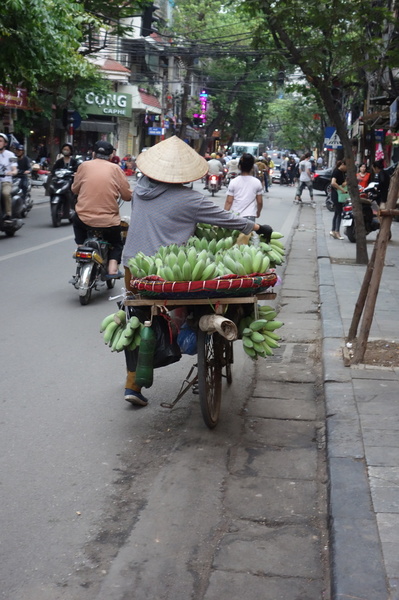 DSC03709.thumb.JPG.46bd61d08d6735247eb6aaedd85b3fc8.JPG