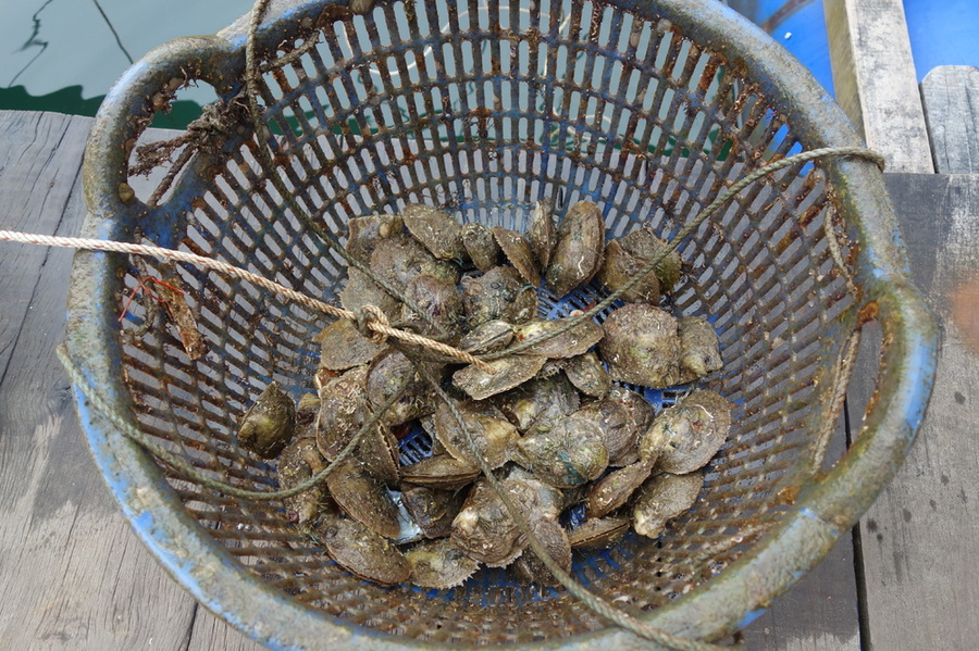 DSC03875.thumb.JPG.93e130d6c3b39b728c32ce61f82deeab.JPG
