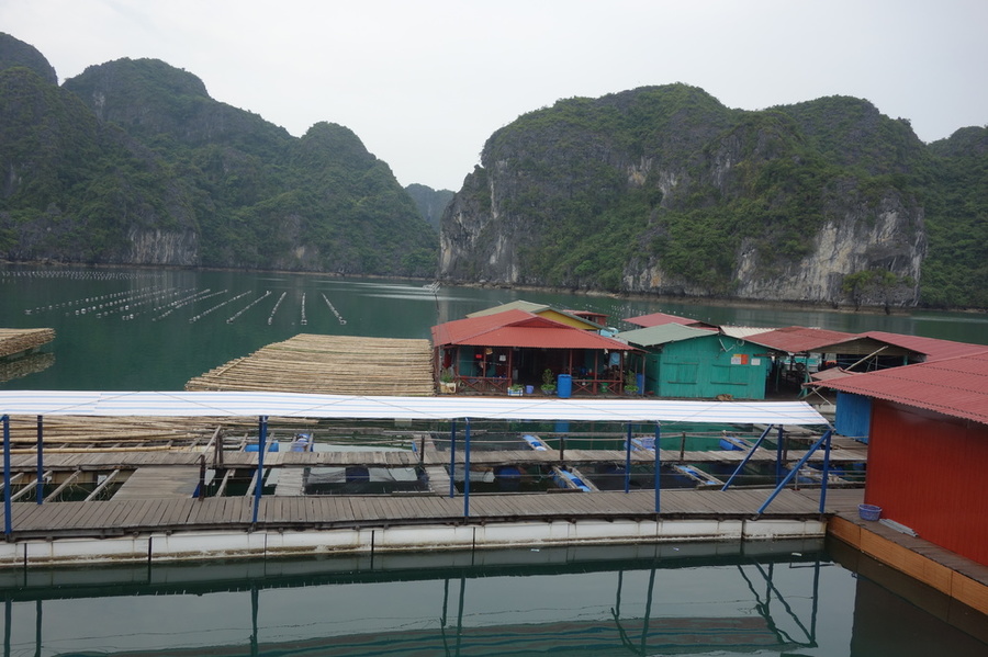 DSC03885.thumb.JPG.6f870637b6eeb5150e0fafc0d8ea4114.JPG
