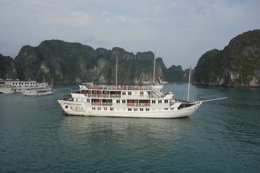 DSC03886.thumb.JPG.6452aa0e8ef076ddaea1b85f71775887.JPG